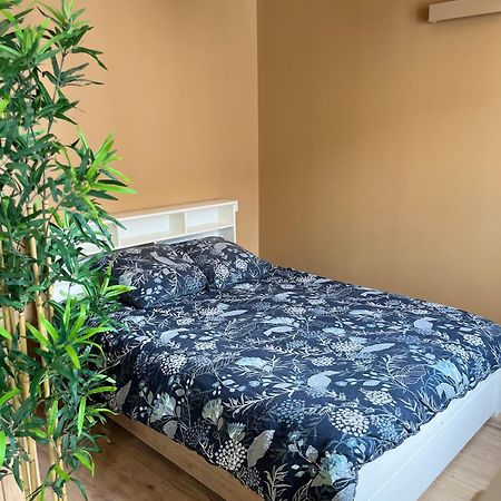 L'Ile De Bali, Sejour En Couple Ou Famille Apartment Roanne Exterior photo